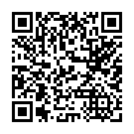 QR code for 38M 294