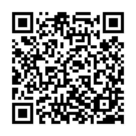 QR code for 38M483