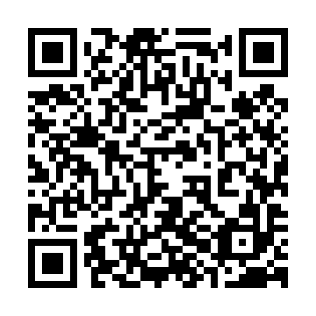 QR code for plate 38M 492