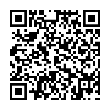 QR code for 38N 259