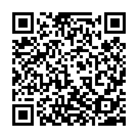 QR code for 38N 478