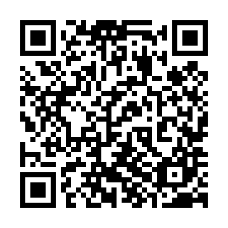 QR code for 38N 487