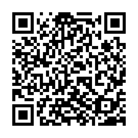 QR code for 38N319