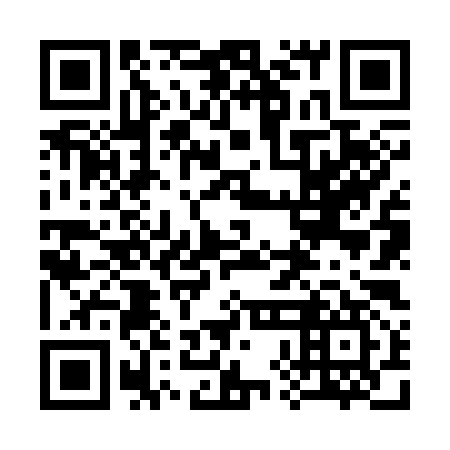 QR code for 38N397