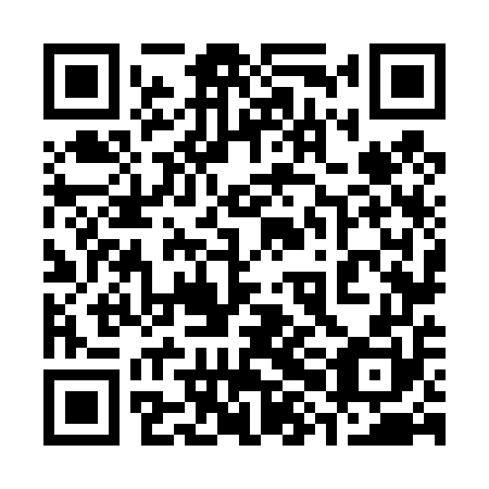 QR code for 38N450