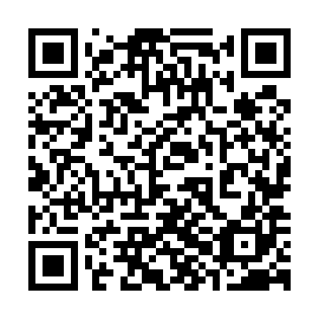 QR code for 38N580