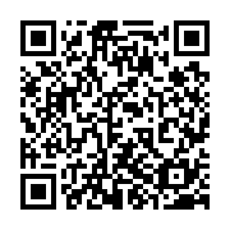 QR code for 38N735