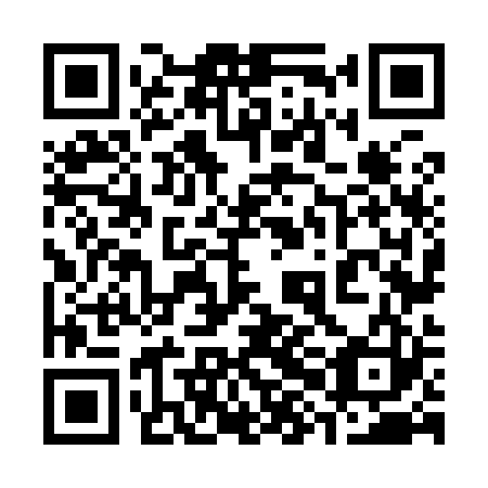 QR code for plate 38N 923