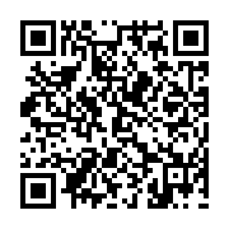 QR code for 38O 951