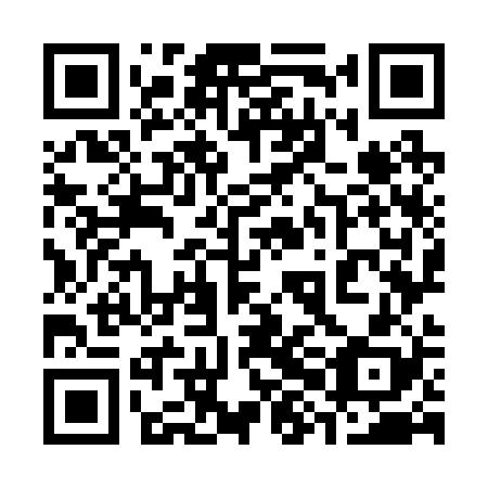 QR code for 38O228