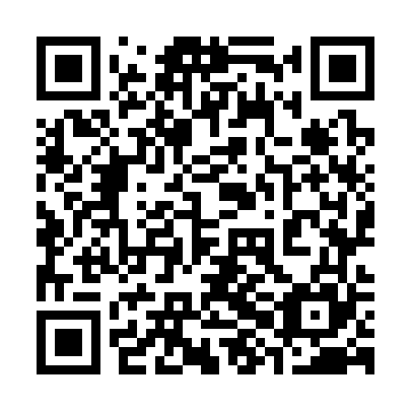 QR code for plate 38O 365