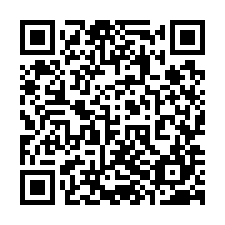 QR code for plate 38O 784
