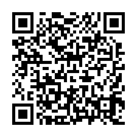 QR code for 38P 219
