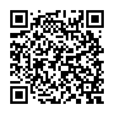 QR code for plate 38P 380
