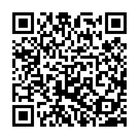 QR code for 38P419