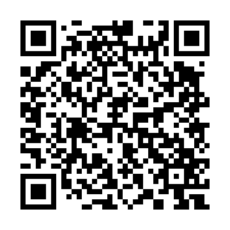 QR code for plate 38P 467