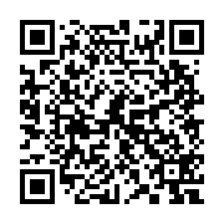 QR code for plate 38P 719