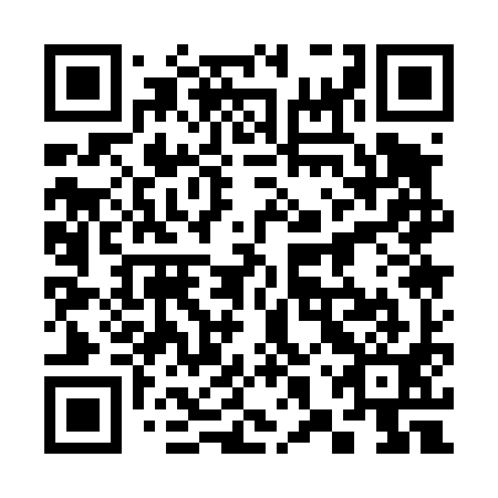 QR code for 38Q 491