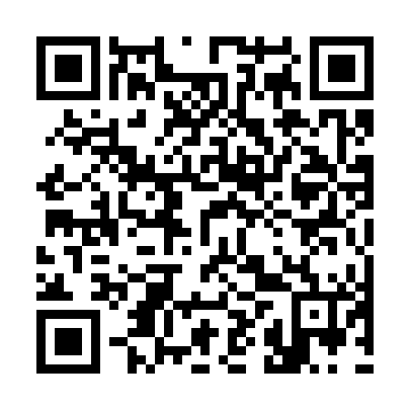 QR code for plate 38Q 346