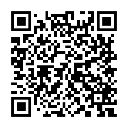 QR code for plate 38Q 949