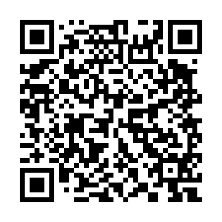 QR code for 38R 494