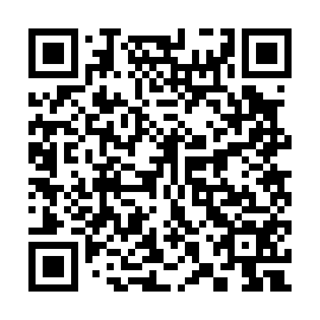 QR code for plate 38R 054