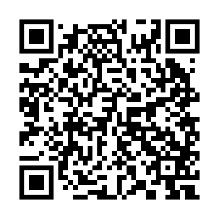 QR code for plate 38R 283
