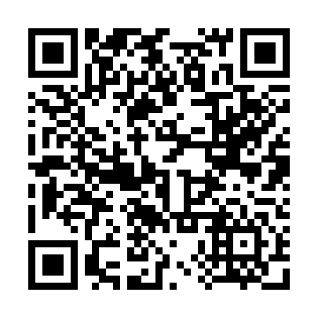 QR code for plate 38R 346