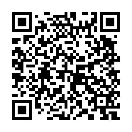 QR code for plate 38R 452