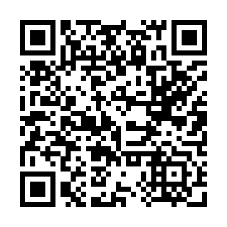 QR code for 38T 943