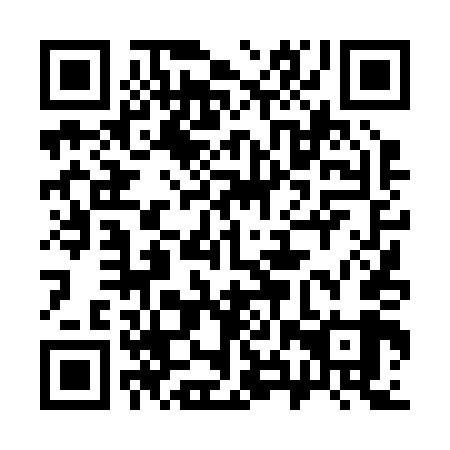 QR code for plate 38T 249