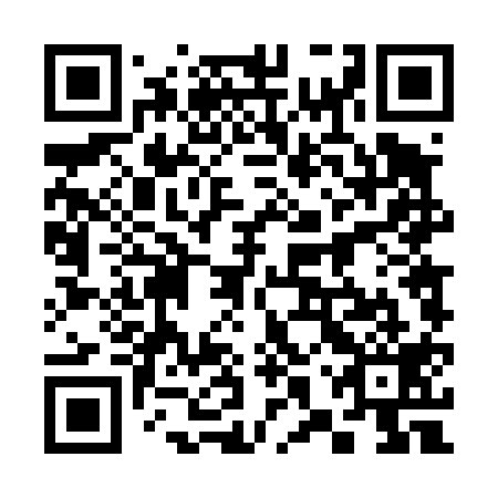 QR code for plate 38T 419