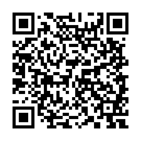 QR code for 38T580