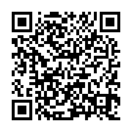 QR code for plate 38T 931