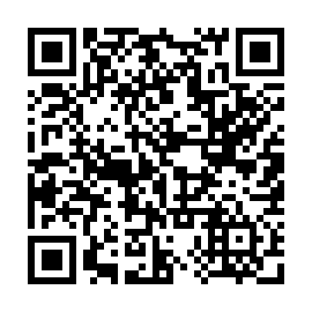 QR code for 38U 374