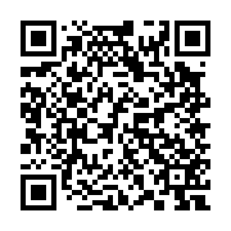 QR code for plate 38U 053