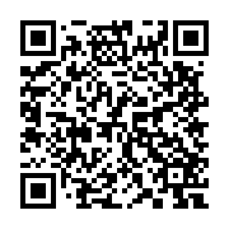 QR code for plate 38U 506