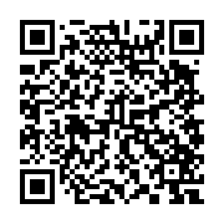 QR code for plate 38V 447