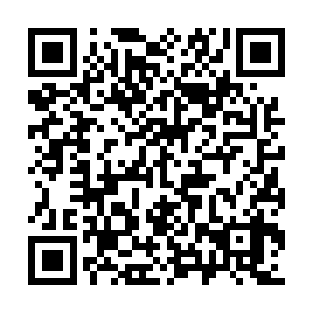 QR code for plate 38V 538