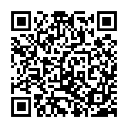 QR code for plate 38V 553
