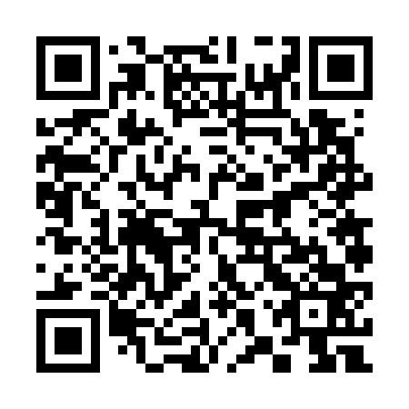 QR code for plate 38V 763