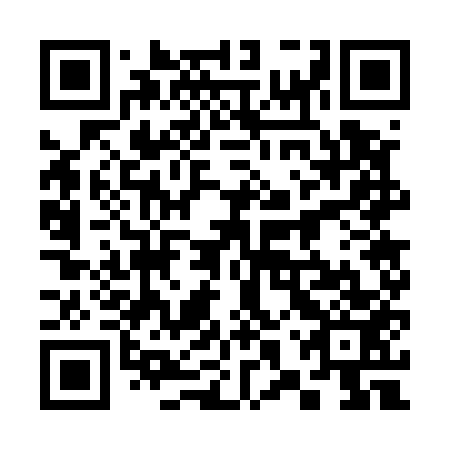 QR code for plate 38W 553