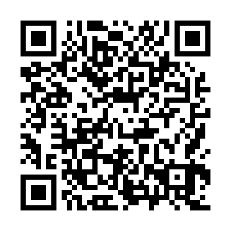 QR code for 38X 063