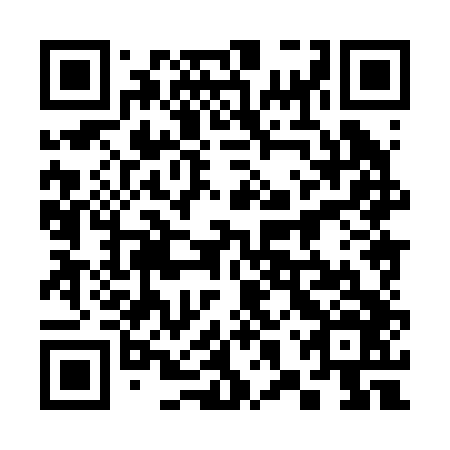 QR code for 38X 246