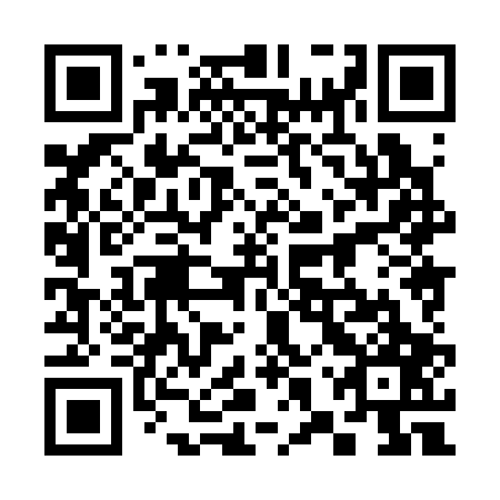 QR code for 38X 307