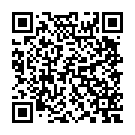 QR code for 38X 455