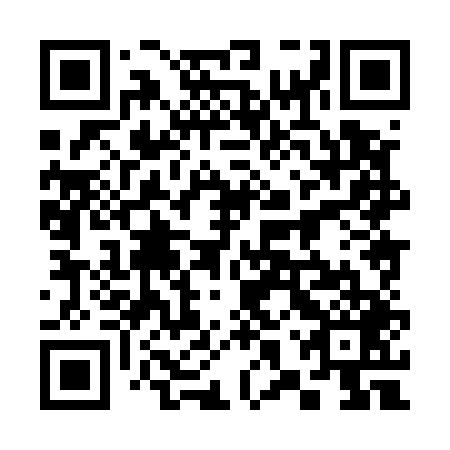 QR code for 38X 549