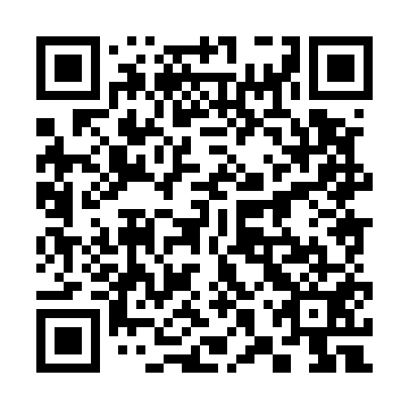 QR code for 38X 551