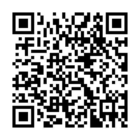 QR code for 38X 800