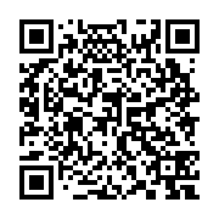QR code for plate 38X 338